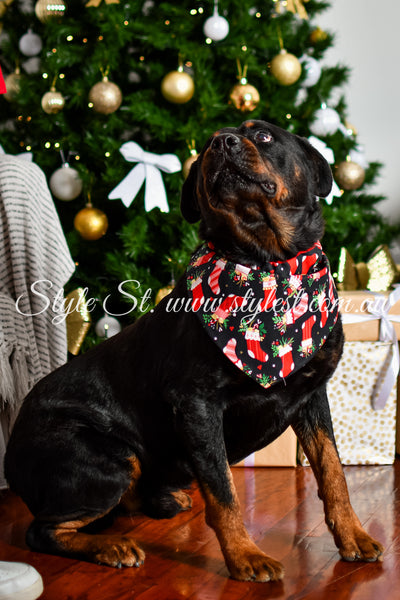 "Jingle Joy" Pet Bandana