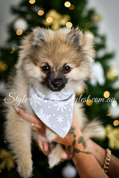 "Silver Snow" Pet Bandana