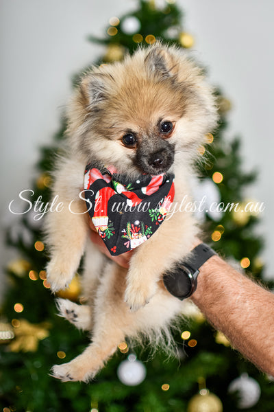 "Jingle Joy" Pet Bandana