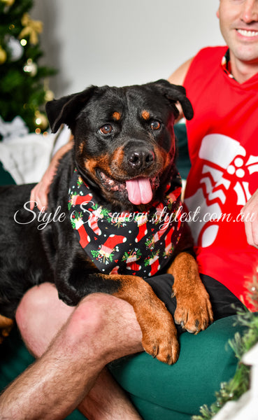 "Jingle Joy" Pet Bandana